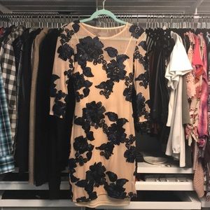 Mid Sleeved Sheer Dress